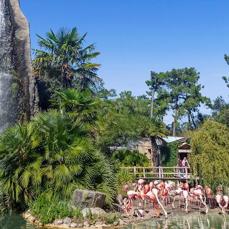 Pet Friendly Stacaravan In Кемпинг