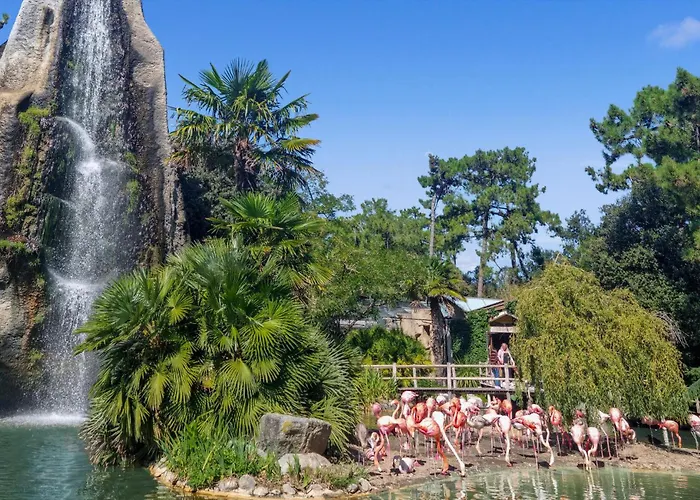 Pet Friendly Stacaravan In Kemping